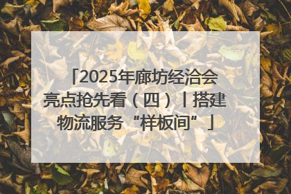 2025年廊坊经洽会亮点抢先看（四）丨搭建物流服务“样板间”