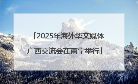 2025年海外华文媒体广西交流会在南宁举行