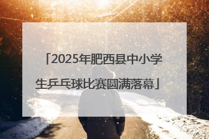 2025年肥西县中小学生乒乓球比赛圆满落幕