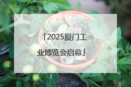 2025厦门工业博览会启幕