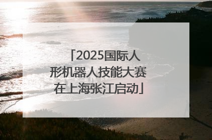 2025国际人形机器人技能大赛在上海张江启动