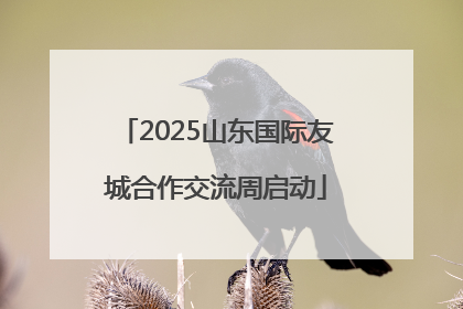 2025山东国际友城合作交流周启动