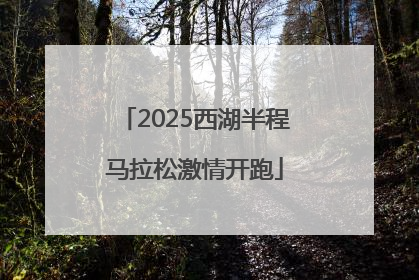 2025西湖半程马拉松激情开跑