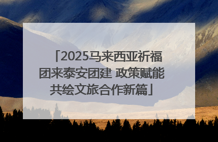 2025马来西亚祈福团来泰安团建 政策赋能共绘文旅合作新篇