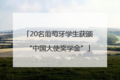 20名葡萄牙学生获颁“中国大使奖学金”