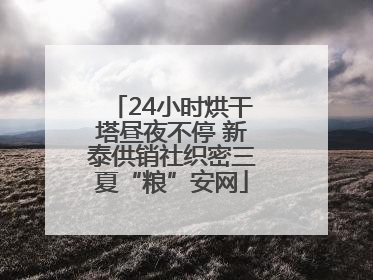 24小时烘干塔昼夜不停 新泰供销社织密三夏“粮”安网