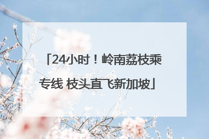 24小时！岭南荔枝乘专线 枝头直飞新加坡