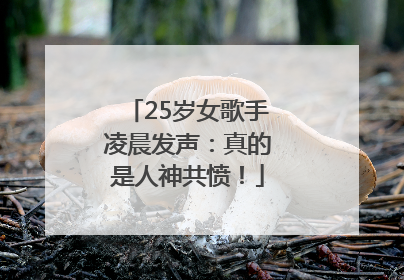 25岁女歌手凌晨发声：真的是人神共愤！