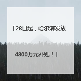 28日起，哈尔滨发放4800万元补贴！