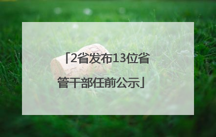 2省发布13位省管干部任前公示