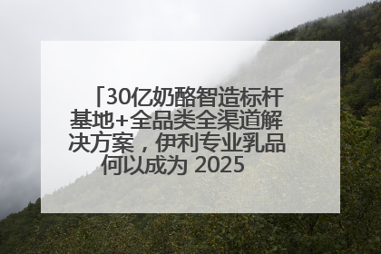 30亿奶酪智造标杆基地+全品类全渠道解决方案，伊利专业乳品何以成为 2025 焙烤展 MV