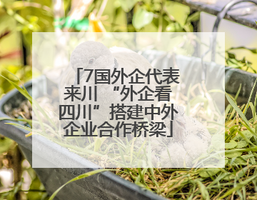 7国外企代表来川 “外企看四川”搭建中外企业合作桥梁