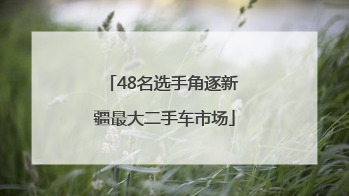 48名选手角逐新疆最大二手车市场
