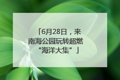 6月28日，来南海公园玩转超燃 “海洋大集”