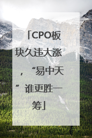 CPO板块久违大涨，“易中天”谁更胜一筹