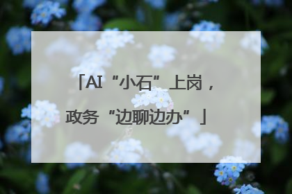 AI“小石”上岗，政务“边聊边办”