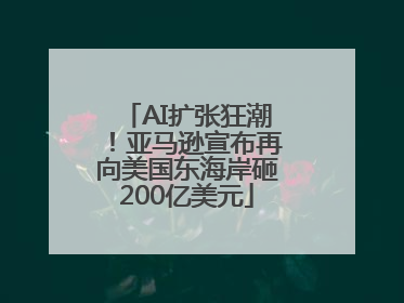 AI扩张狂潮！亚马逊宣布再向美国东海岸砸200亿美元