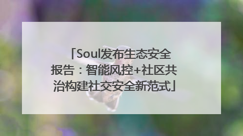 Soul发布生态安全报告：智能风控+社区共治构建社交安全新范式