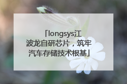 longsys江波龙自研芯片，筑牢汽车存储技术根基